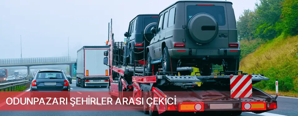 Odunpazarı İlçemi Şehirler Arası Çekici