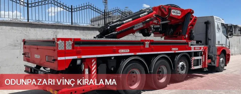 Odunpazarı İlçemi Vinç Kiralama